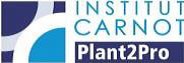 Logo Plant2Pro