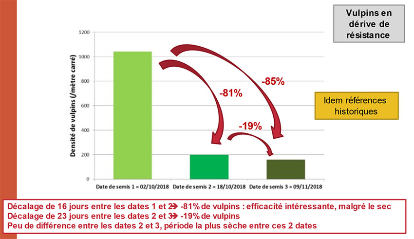 Figure 1 : Effet du retard de la date de semis sur la densité de vulpins dans les témoins non traités – Essais 2019 – L’Epine (51 – craie) – Variété Fructidor