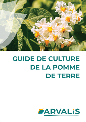 Guide de culture de la pomme de terre