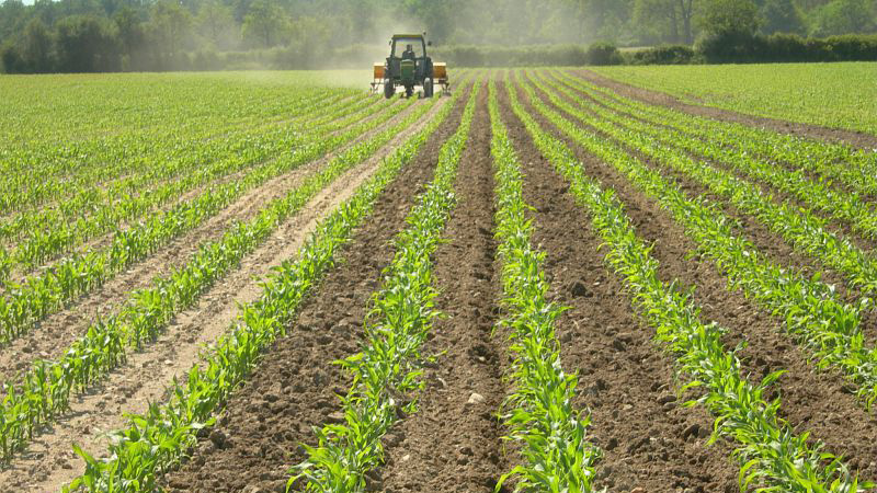 Quels engrais et fertilisants sont utilisés en agriculture bio
