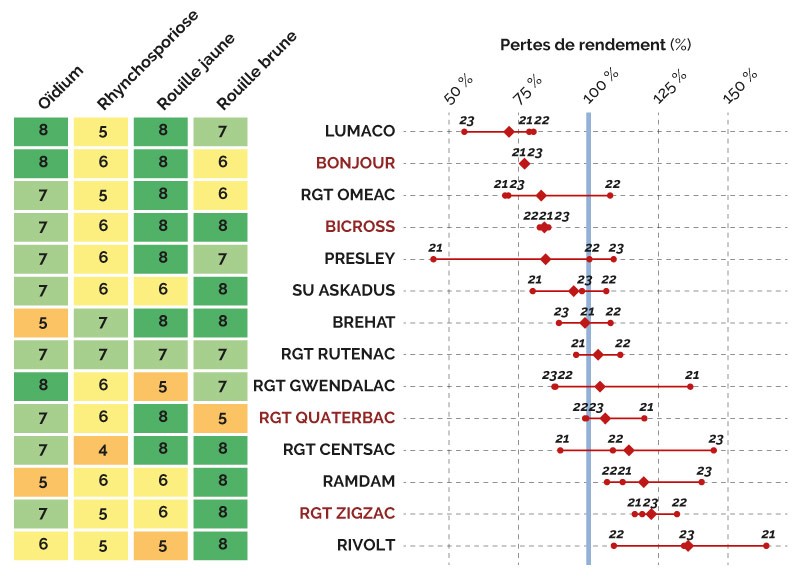 Figure 2 : Pertes de rendement en l’absence de protection fongicide de 14 variétés récentes de triticale