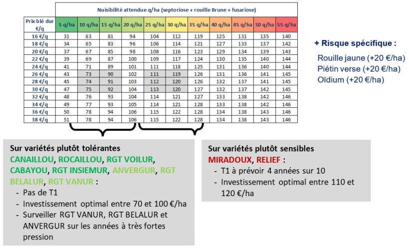 Tableau 1 : Enveloppe fongicide optimale en fonction de la nuisibilité attendue et du prix du blé dur attendu