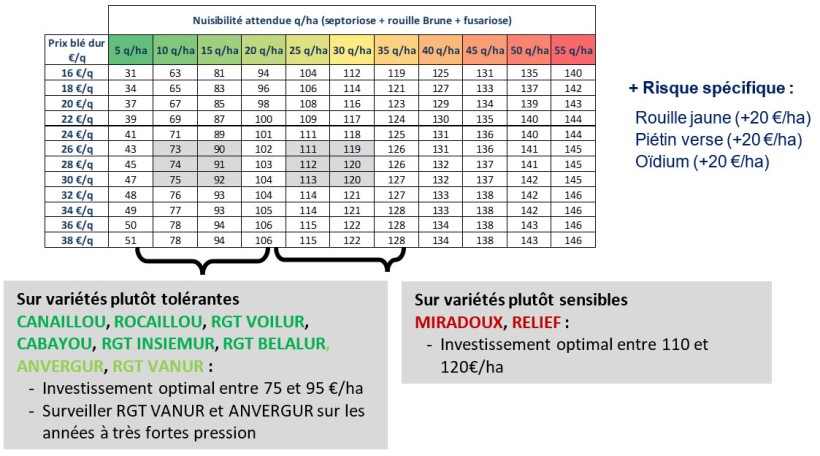 Tableau 1 : Enveloppe fongicide optimale en fonction de la nuisibilité attendue et du prix du blé dur attendu