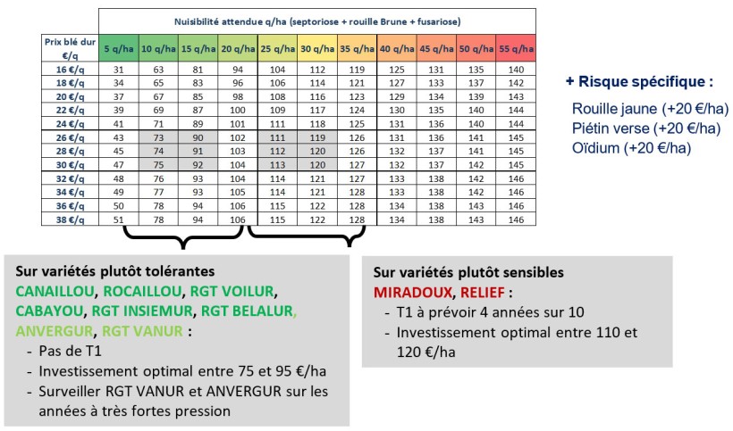 Tableau 1 : Enveloppe fongicide optimale en fonction de la nuisibilité attendue et du prix du blé dur attendu