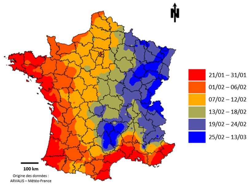 Carte 1 : Dates médianes (sur 20 ans : 2005-2024) pour cumuler 200 degrés-jours (base 0°C) depuis le 1er janvier de l’année