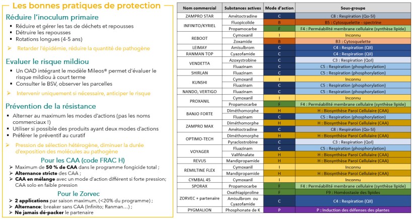 Tableau 3 : Rappel des bonnes pratiques de protection et de prévention de la résistance du mildiou sur variétés de pomme de terre sensibles et compositions des fongicides disponibles