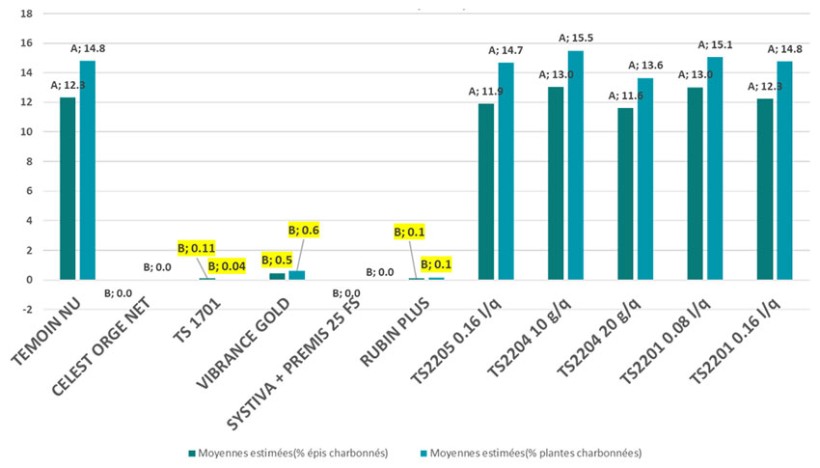 Figure 1 : Efficacité de plusieurs traitements de semences – en % d’épis et plantes charbonnées - Synthèse de 3 essais (21-56-91) conduits en 2022