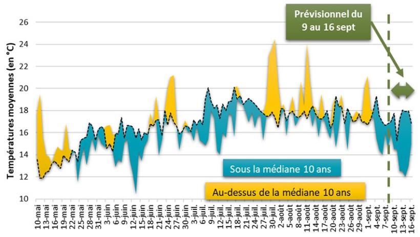 Figure 1 : Ecart des températures moyennes quotidiennes à la médiane des dix dernières années (2013-2023) sur la station de Ploërmel (56)