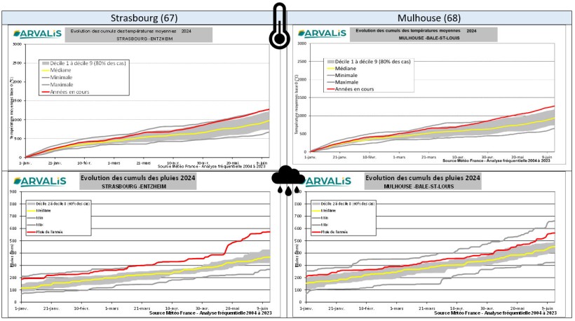 Figures 2 à 5 : Evolution des cumuls de températures moyennes et de la pluviométrie sur les stations météo de Strasbourg (67) et Mulhouse (68)