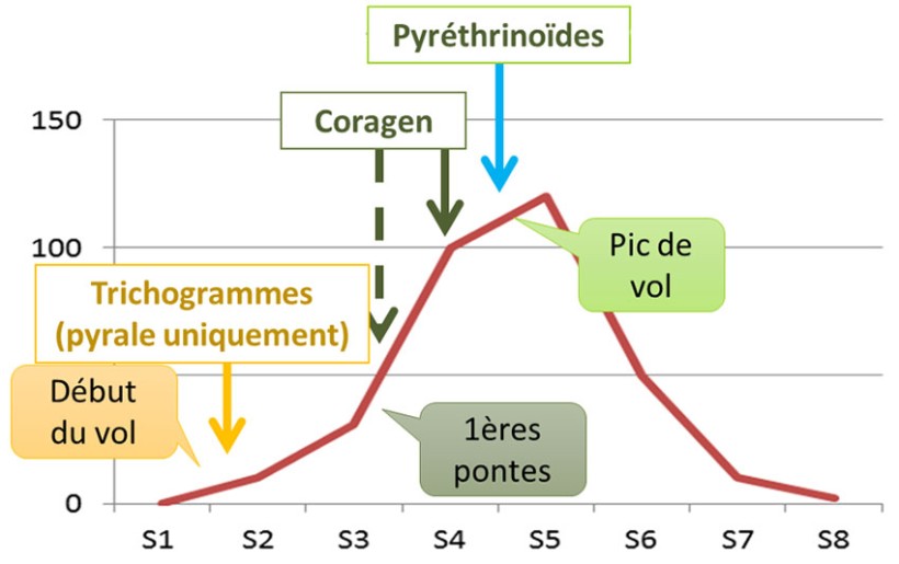 Figure 2 : Positionnement des différentes solutions de lutte contre les pyrales pendant la période de sensibilité du maïs