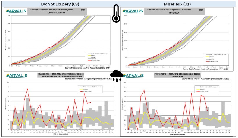 Figures 2 à 5 : Evolution des cumuls de températures moyennes et de la pluviométrie sur les stations météo de Lyon-Saint-Exupéry (69) et Misérieux (01)
