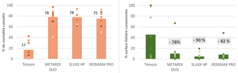 Figure 3 : Efficacité de trois molluscicides, en % de mortalité cumulés (à gauche) et en % de surface foliaire consommée (à droite) – Synthèse de 10 essais 2017-2024