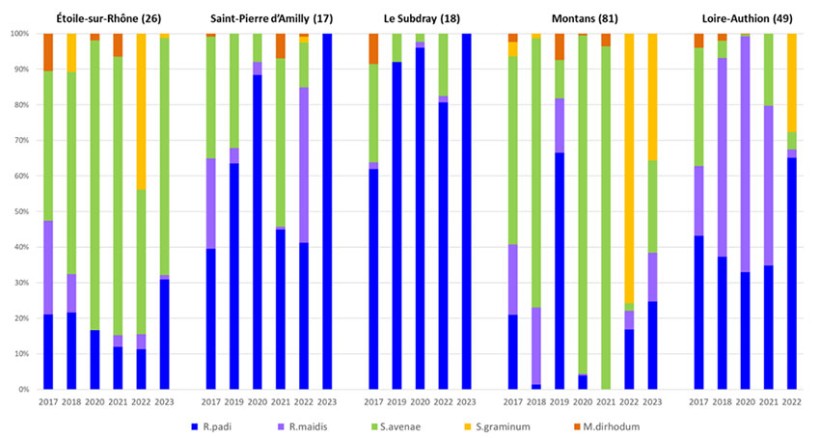 Figure 3 : Part relative des différentes espèces de pucerons prélevés à l’automne sur plantules d’orge et de blé sur 5 sites (départements 26, 17, 18, 81 et 49), suivant l’année