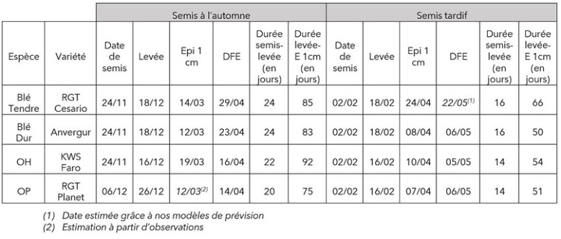 Tableau 1 : Dates observées d’apparition de stades physiologiques (de la levée à DFE) en fonction de la date de semis, pour la campagne 2023/2024