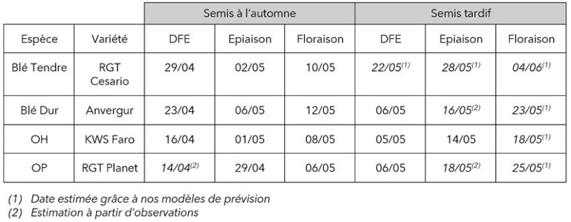 Tableau 2 : Dates observées d’apparition des stades physiologiques des céréales à paille, de dernière feuille étalée (DFE) à floraison, en fonction de la date de semis