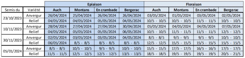 Tableau 3 : Dates prévisionnelles des stades dernière feuille étalée, épiaison et floraison sur blé dur