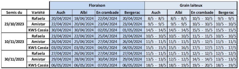 Tableau 4 : Dates prévisionnelles des stades floraison et grain laiteux sur orge