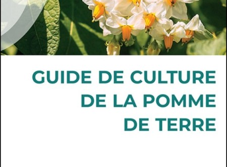 Guide Culture de la Pomme de Terre OFFERT 