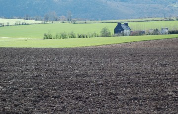 Sol nu avant un semis de maïs en 2024 en Bretagne