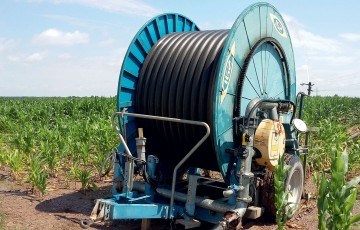 Un enrouleur bleu pour irrigation en bordure d'une parcelle de maïs en île de France en 2024