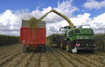 Une ensileuse automotrice récolte l'ensilage de maïs en région Centre