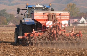 Semis direct de céréales, après maïs, en Occitanie