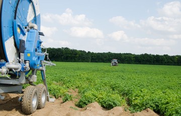 L'irrigation De La Pomme De Terre En Trois étapes | ARVALIS