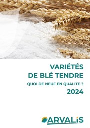 Variétés de blé tendre : quoi de neuf en qualité ? 2024