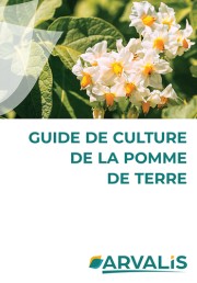 Guide de culture de la pomme de terre