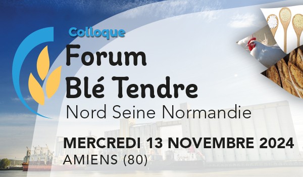 Colloque Forum blé tendre NSN 2024