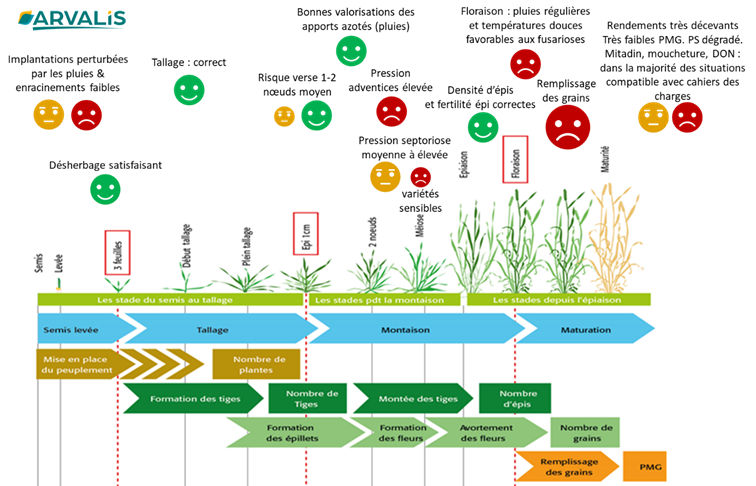 Figure 2 : Résumé des faits marquants de la campagne Blé Dur 2023-2024