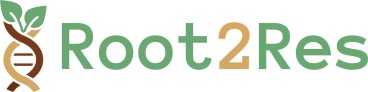 Logo Projet de recherche Root2Res
