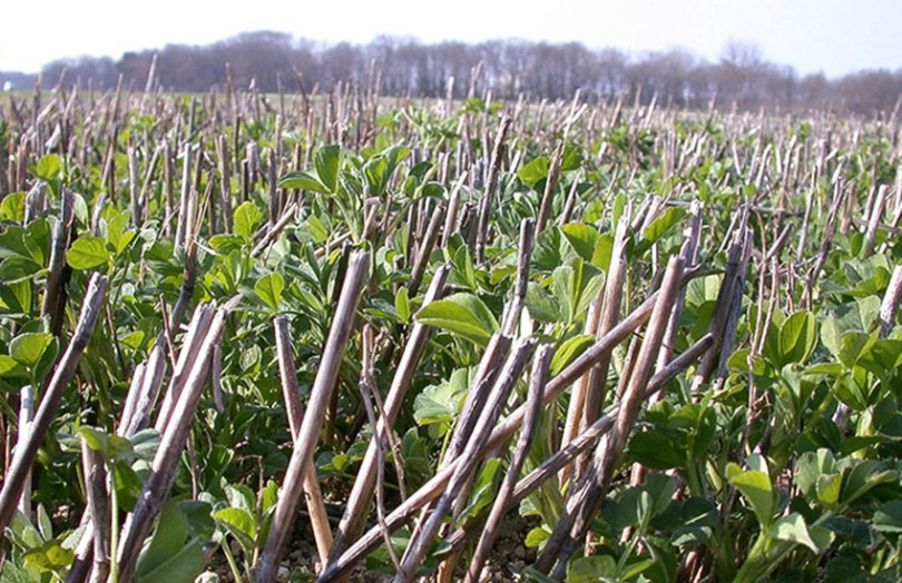 Quelle place pour l’agroécologie dans les systèmes agroalimentaires ?