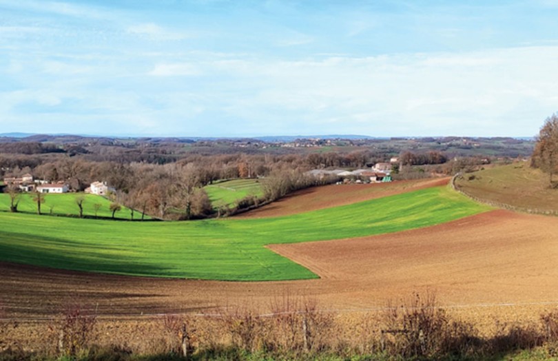 Favoriser la biodiversité