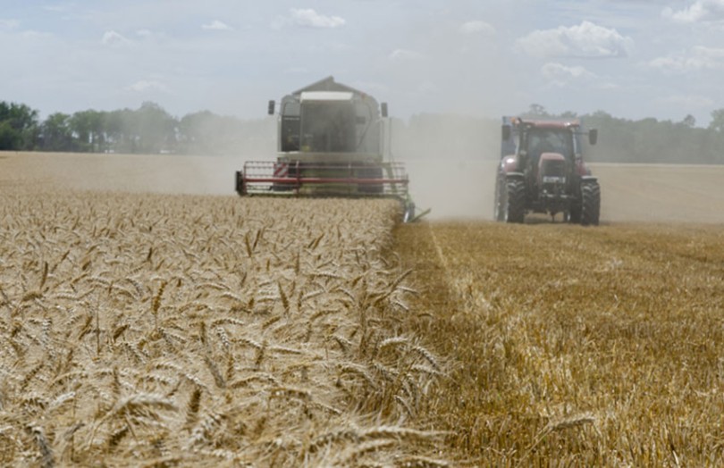 Récolte 2020 des céréales à paille, colza et pois