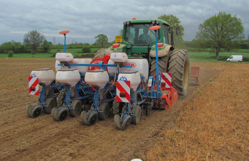Semis de maïs 2024 en Poitou-Charentes