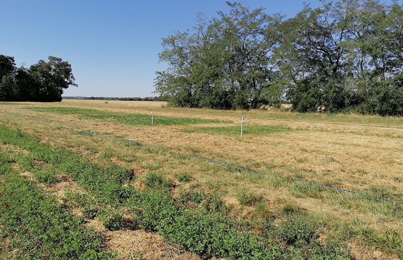 Tuyau d'irrigation, Irriguer vos prairies facilement et efficacement
